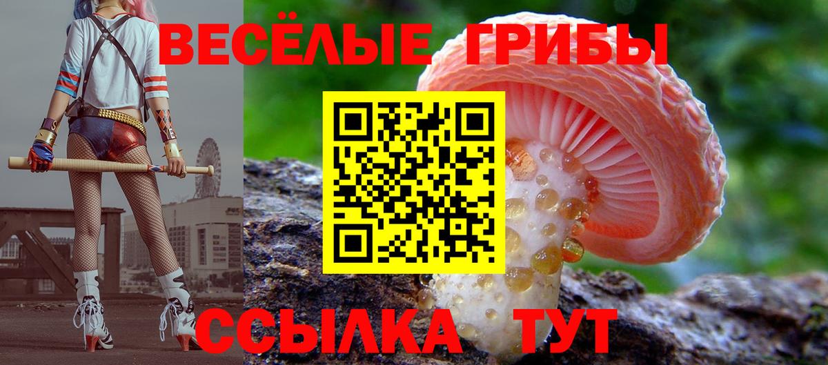 Галлюциногенные грибы Magic Shrooms Железногорск