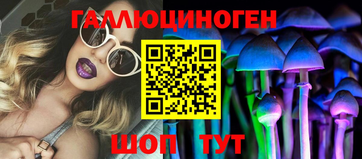 Псилоцибиновые грибы GOLDEN TEACHER  Вход с VPN  Железногорск 